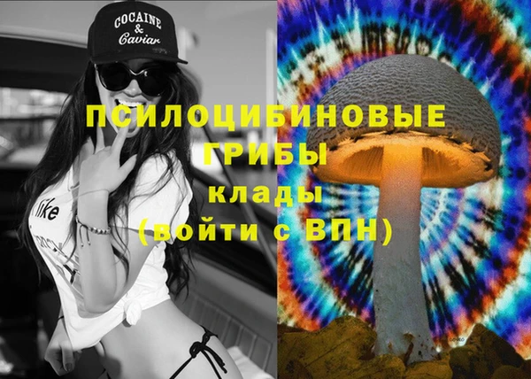 мдпв Нефтекумск